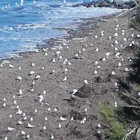 Cap Soleil 4* Saint-Denis-dʼOléron