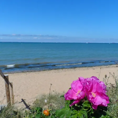 Oleron Cap Soleil Mh Climatise キャンプ場