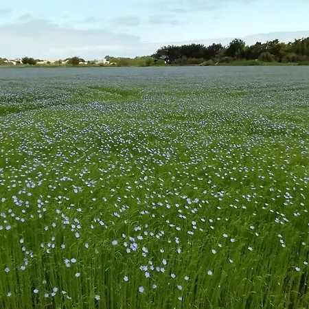 Oleron Cap Soleil Mh Climatise Saint-Denis-dʼOléron