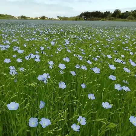 Camping Cap Soleil 4*