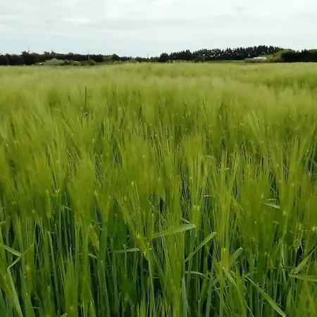 Camping Cap Soleil Camping Saint-Denis-dʼOléron